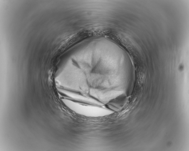 X0000093591010200711121119