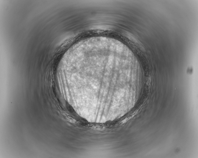 X0000093591014200711121119