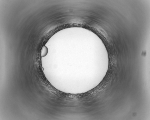 X0000093591015200711121119