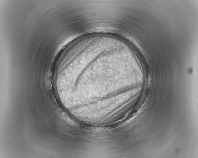 X0000093591018200711121119
