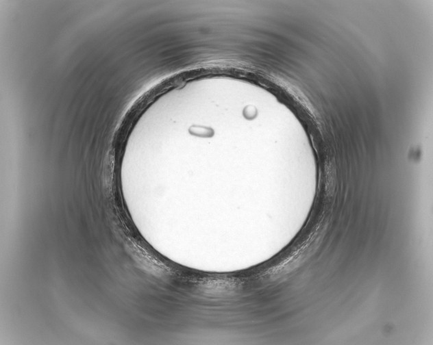 X0000093591021200711121119
