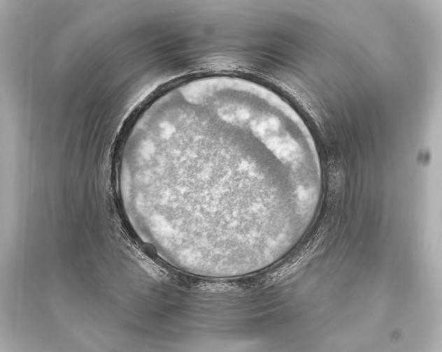 X0000093591023200711121119
