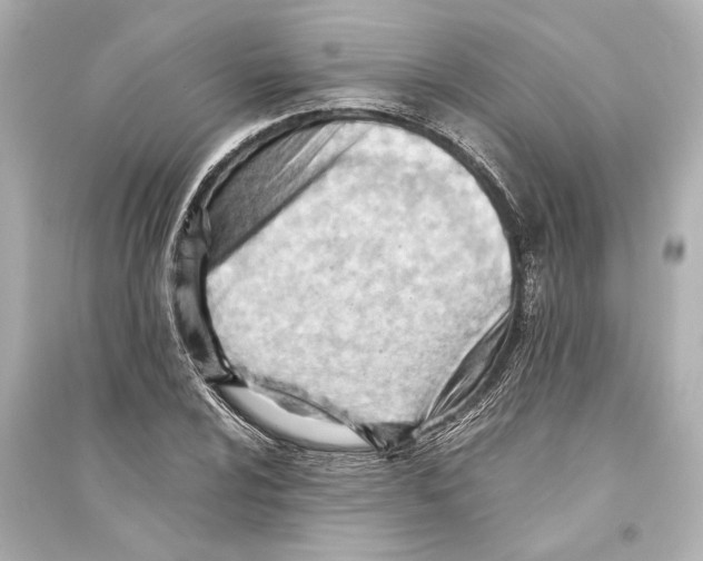 X0000093591024200711121119