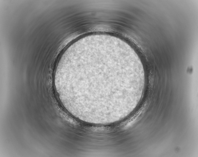X0000093591025200711121119