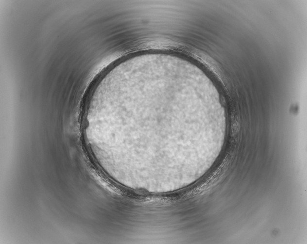 X0000093591026200711121119