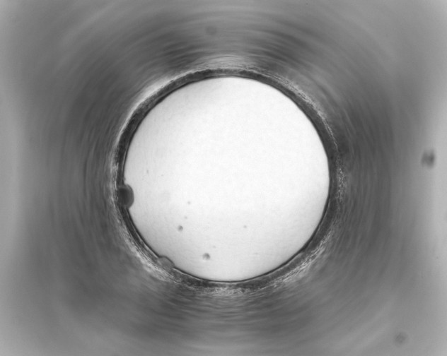 X0000093591029200711121119
