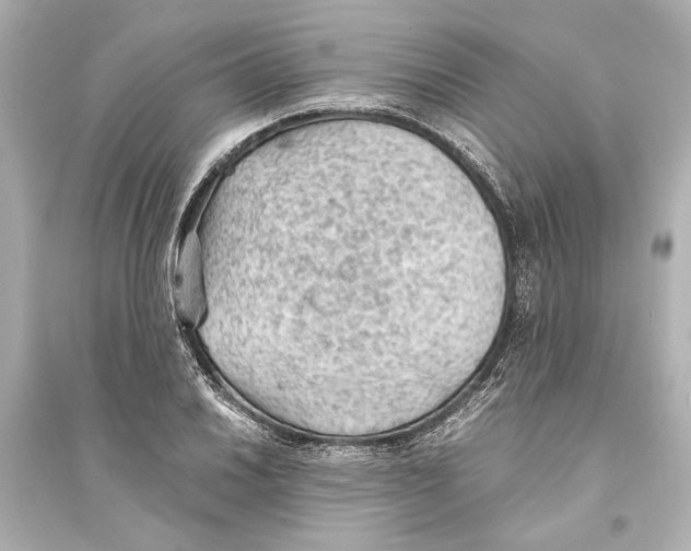 X0000093591030200711121119