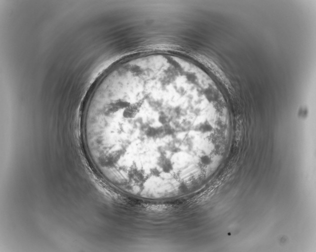 X0000093591031200711121119