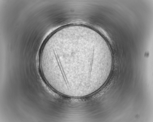 X0000093591032200711121119