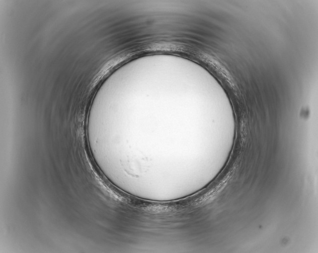 X0000093591033200711121119
