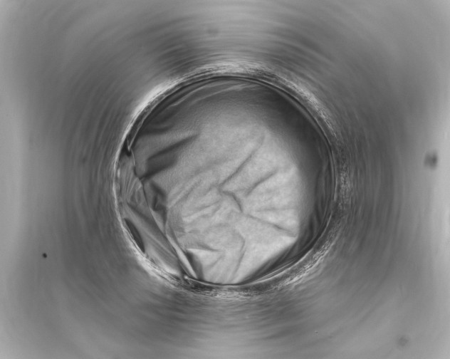 X0000093591034200711121119