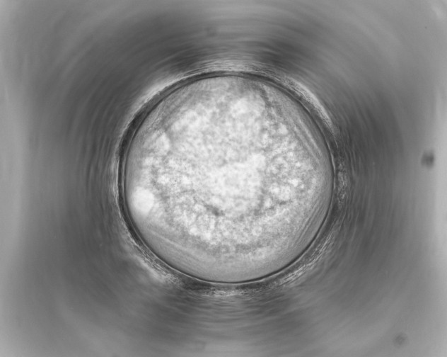 X0000093591035200711121119