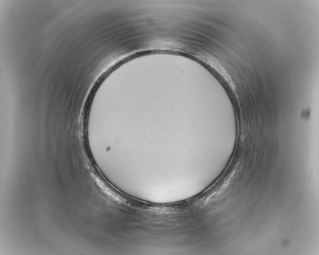 X0000093591037200711121119