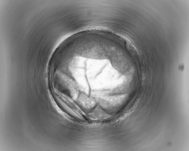 X0000093591038200711121119