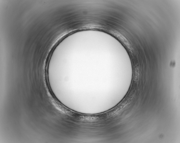 X0000093591039200711121119