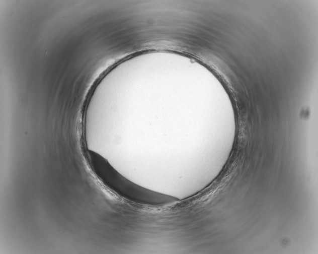 X0000093591040200711121120