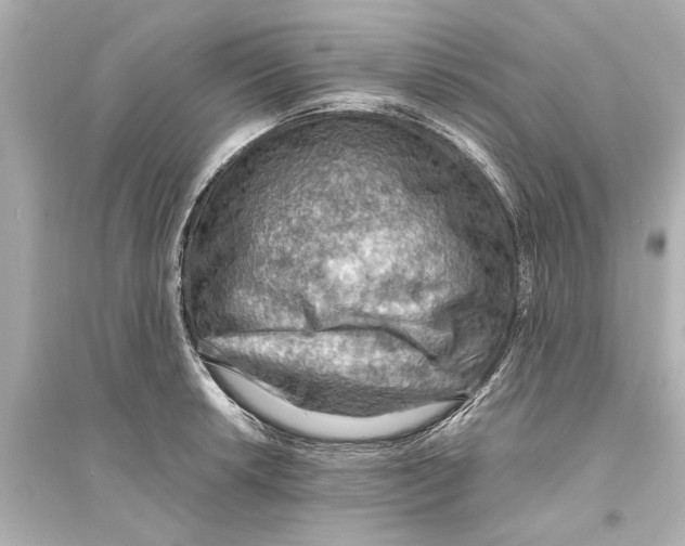X0000093591042200711121120