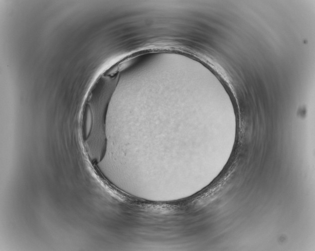 X0000093591045200711121120