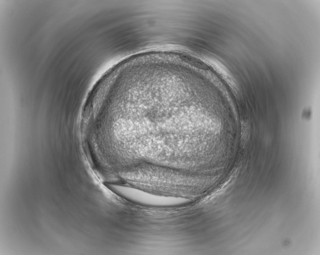 X0000093591046200711121120