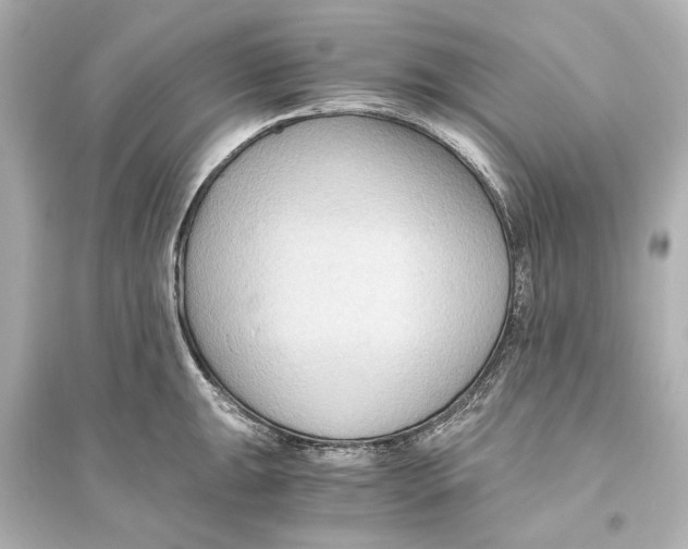 X0000093591047200711121120