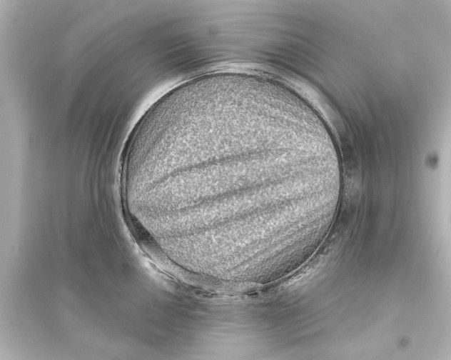 X0000093591050200711121120