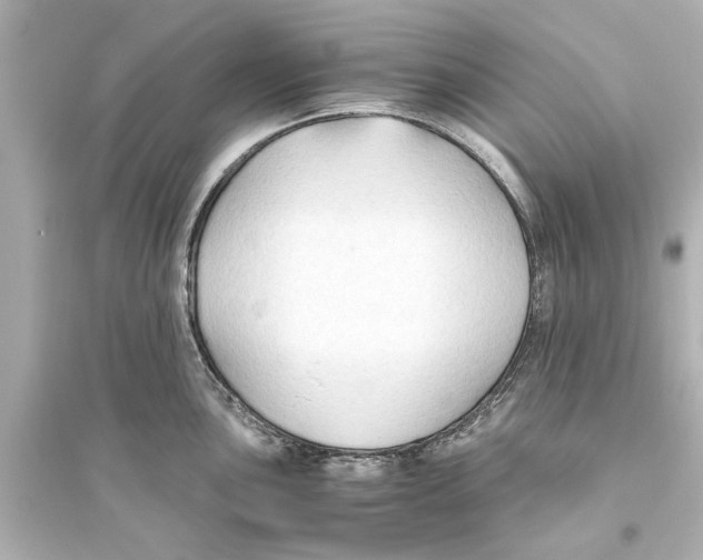 X0000093591051200711121120