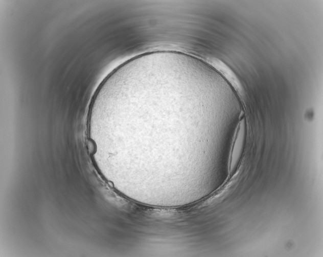 X0000093591052200711121120