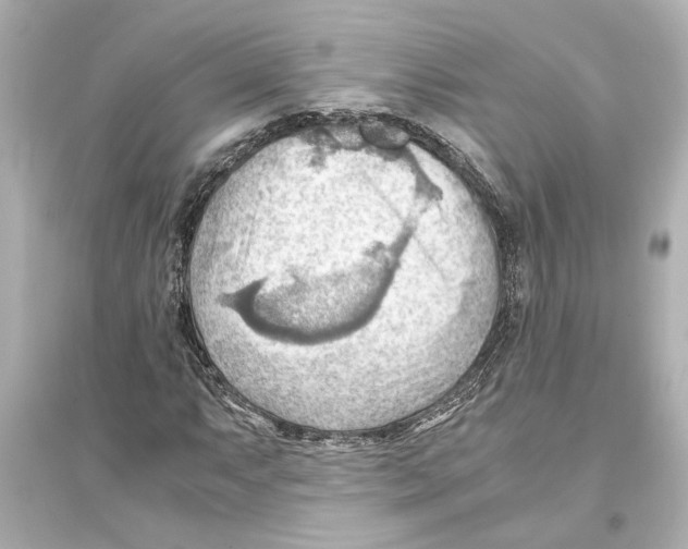X0000093591063200711121119