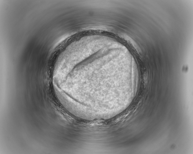 X0000093591064200711121119