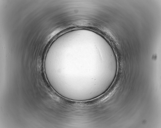 X0000093591065200711121119