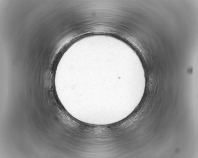 X0000093591067200711121119