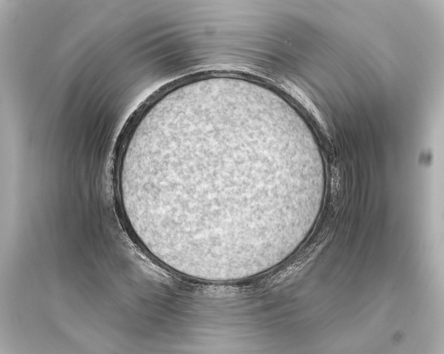 X0000093591068200711121119