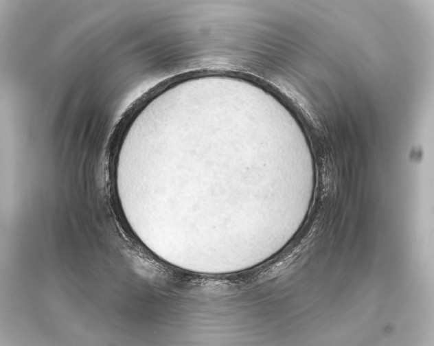 X0000093591070200711121119
