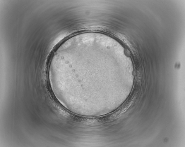 X0000093591071200711121119