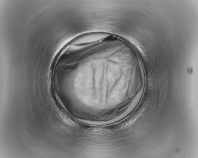 X0000093591077200711121119