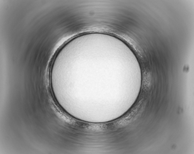 X0000093591078200711121119