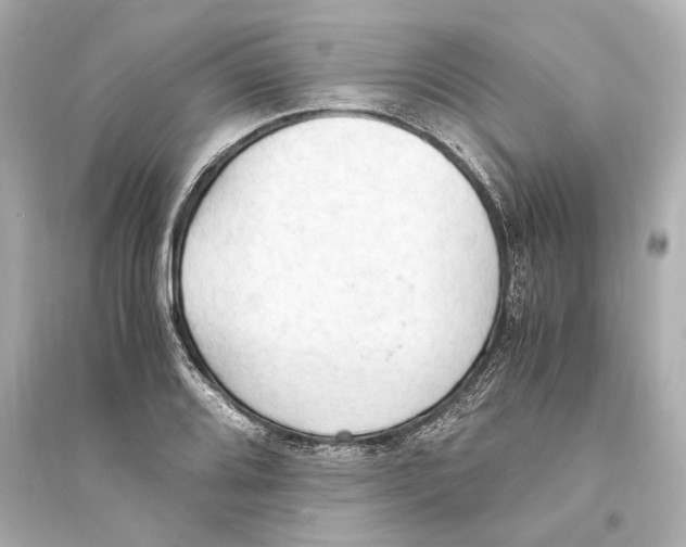 X0000093591080200711121119