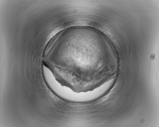 X0000093591081200711121119