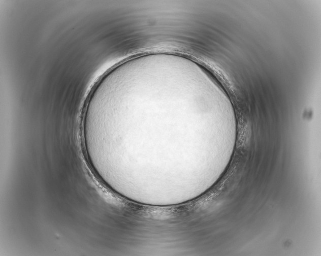 X0000093591086200711121119