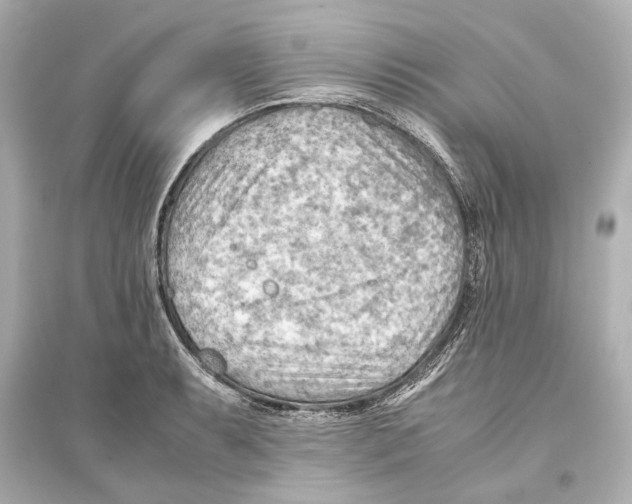X0000093591087200711121119