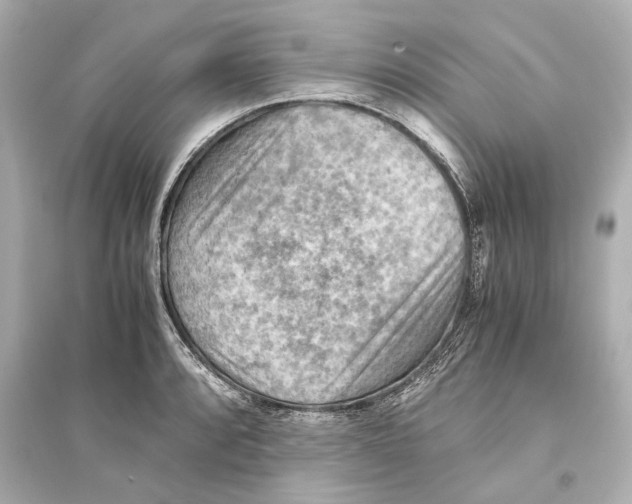 X0000093591088200711121119