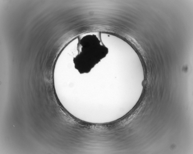 X0000093591089200711121119