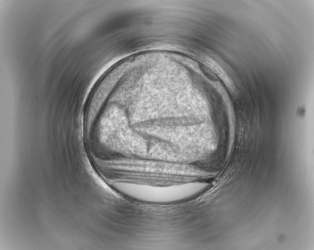 X0000093591092200711121119