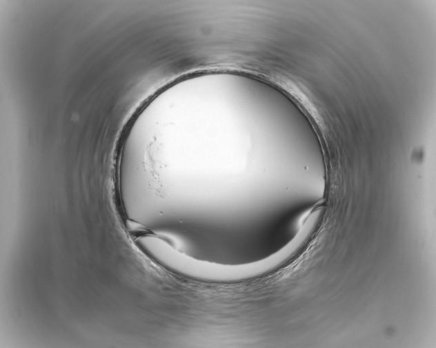 X0000093591093200711121119