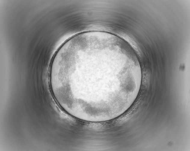 X0000093591094200711121119