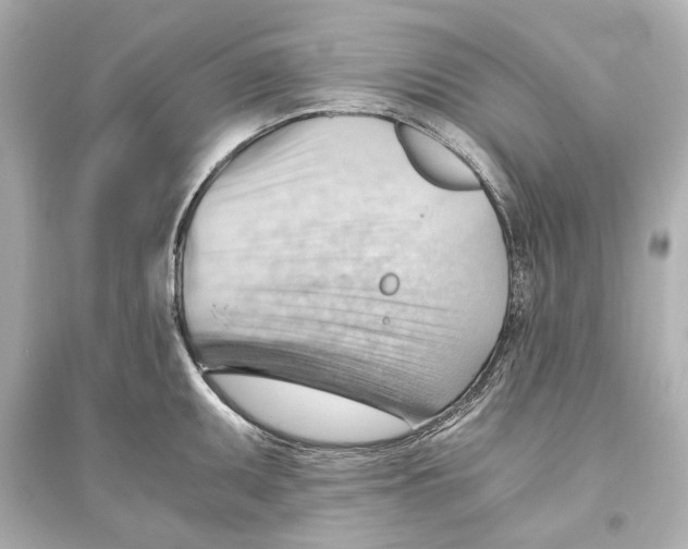 X0000093591095200711121119