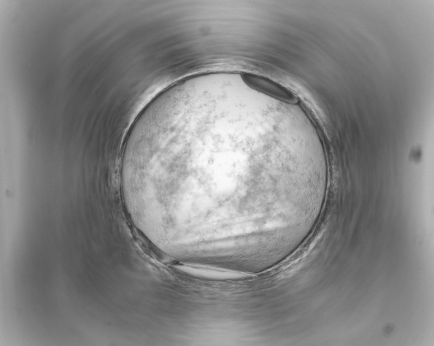 X0000093591097200711121119