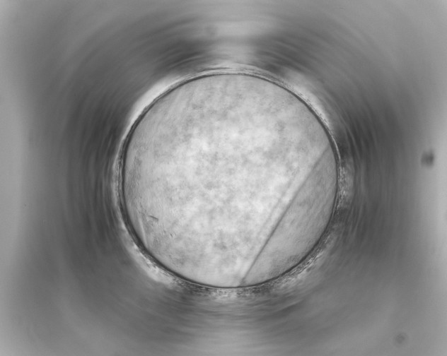 X0000093591098200711121119