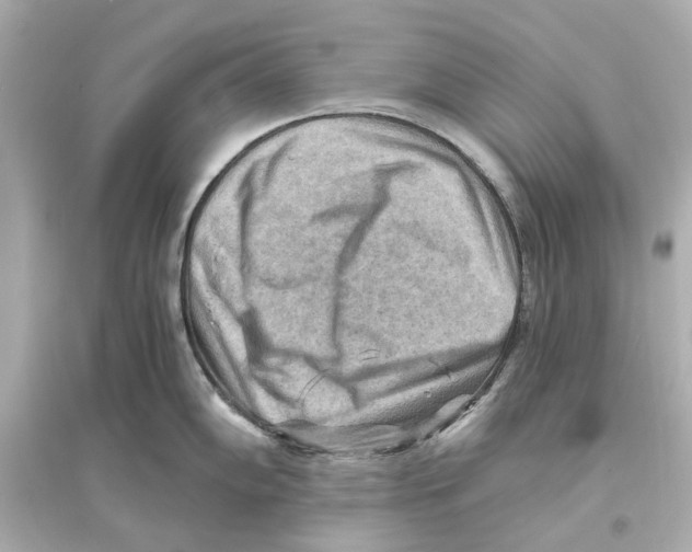 X0000093591102200711121118
