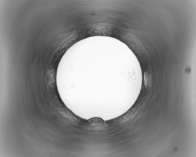 X0000093591107200711121118